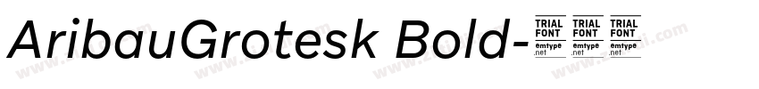 AribauGrotesk Bold字体转换